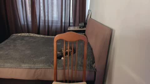 Zoe online show from 1, 4, 2026