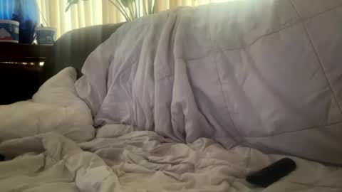 Snapshot of moon_man5 chatting on 21, 11, 2025 Mitchell online show from 21, 11, 2025