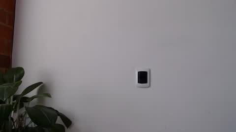 Abelardo online show from 28, 3, 2026