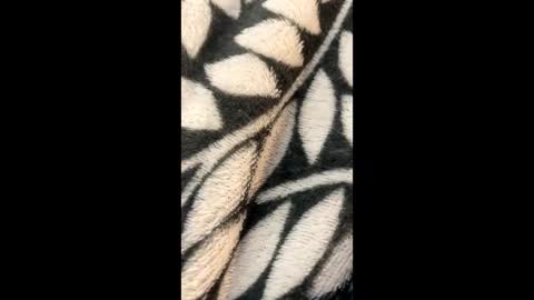 Snapshot of morgzgiorgi chatting on 21, 3, 2026 Morgan Gina online show from 21, 3, 2026