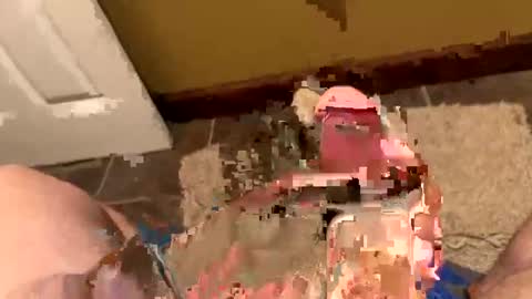 Henry online show from 1, 12, 2024