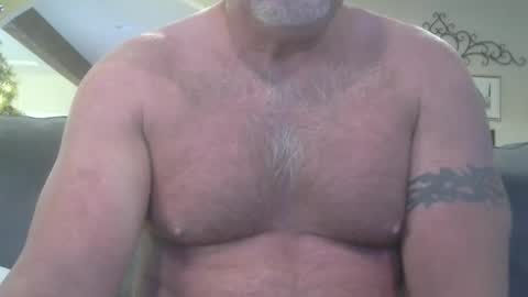 Snapshot of motorguy08 chatting on 11, 12, 2024 motorguy08 online show from 11, 12, 2024