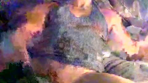 Snapshot of mr2mr2 chatting on 26, 2, 2026 Mr2 online show from 26, 2, 2026