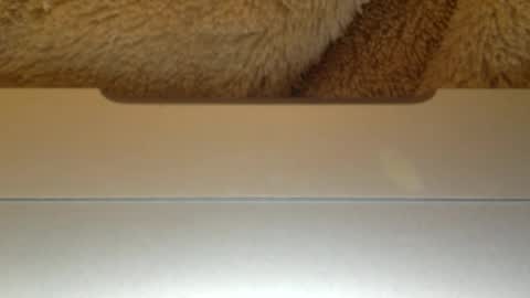 mr_himm online show from 23, 4, 2026