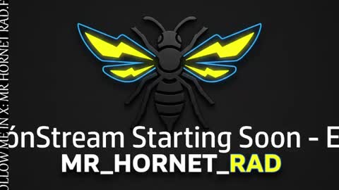 Snapshot of mr_hornet_rad chatting on 27, 4, 2026 mr_hornet_rad online show from 27, 4, 2026