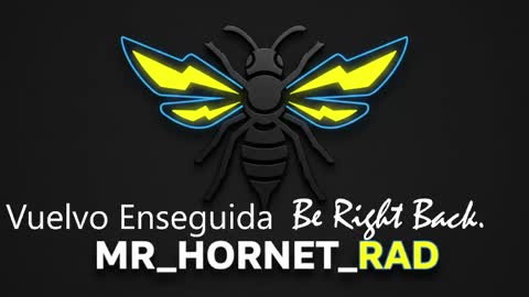 Snapshot of mr_hornet_rad chatting on 4, 5, 2026 mr_hornet_rad online show from 4, 5, 2026
