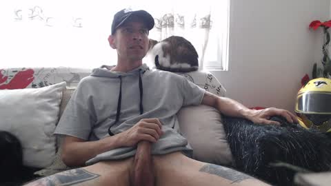 mrcock_col online show from 8, 4, 2026