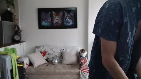 mrcock_col online show from 11, 5, 2026