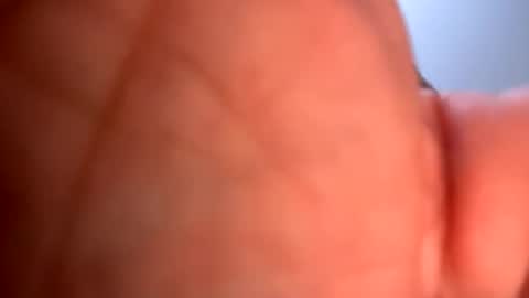 Snapshot of mrfrankfuckforfree chatting on 19, 1, 2025 mrfrankfuckforfree online show from 19, 1, 2025