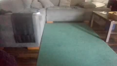 Nikola online show from 6, 4, 2026