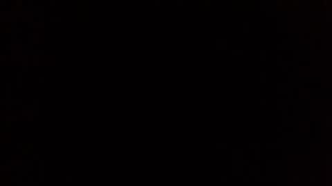 Nikola online show from 30, 4, 2026