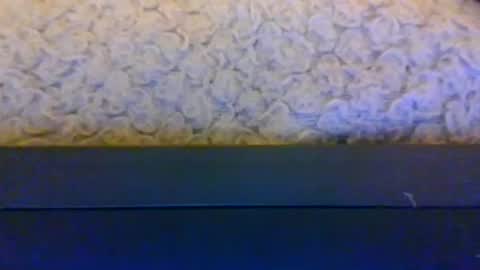 mrking8inch online show from 26, 6, 2026