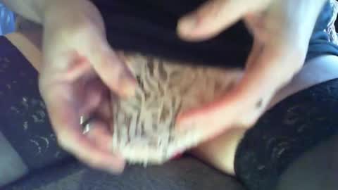 mojo online show from 30, 12, 2024