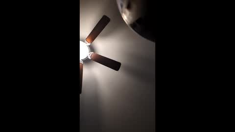 Snapshot of mrorange50187 chatting on 22, 12, 2024 mrorange50187 online show from 22, 12, 2024