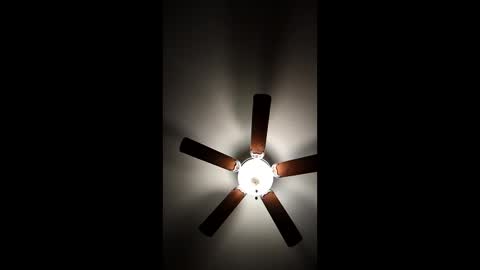 Snapshot of mrorange50187 chatting on 8, 1, 2025 mrorange50187 online show from 8, 1, 2025