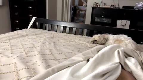 mrrogue online show from 1, 11, 2025