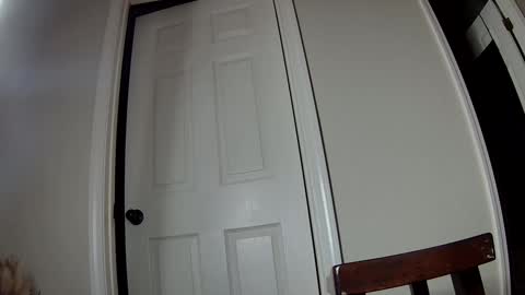 Snapshot of ms_queen chatting on 2, 12, 2024 missqueenbbw online show from 2, 12, 2024