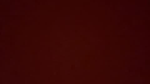 msxina online show from 5, 4, 2026