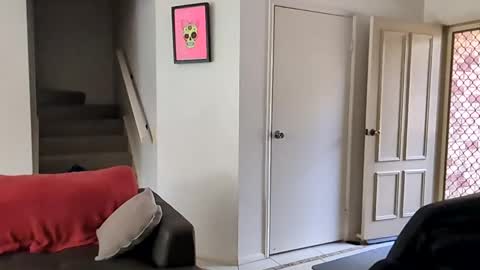 mudjimba online show from 16, 12, 2024