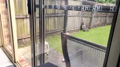 mudjimba online show from 17, 12, 2024