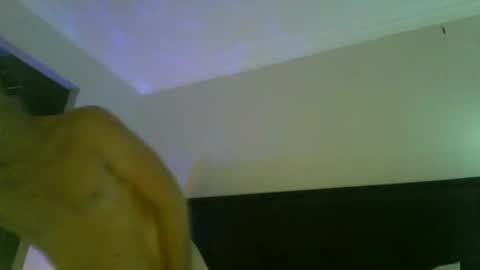 mudjimba online show from 25, 12, 2024