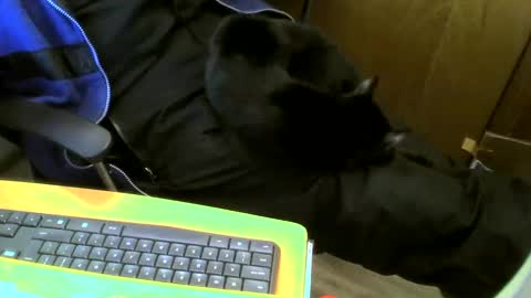 Snapshot of muller520 chatting on 18, 1, 2025 muller520 online show from 18, 1, 2025