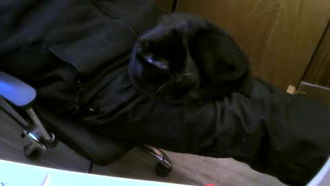 Snapshot of muller520 chatting on 21, 1, 2025 muller520 online show from 21, 1, 2025