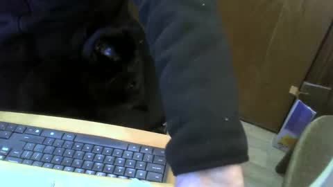 Snapshot of muller520 chatting on 22, 1, 2025 muller520 online show from 22, 1, 2025