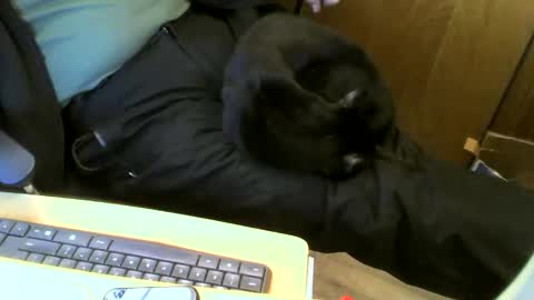 Snapshot of muller520 chatting on 22, 1, 2025 muller520 online show from 22, 1, 2025