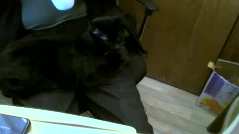 Snapshot of muller520 chatting on 23, 1, 2025 muller520 online show from 23, 1, 2025