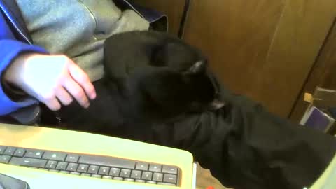 Snapshot of muller520 chatting on 11, 2, 2025 muller520 online show from 11, 2, 2025