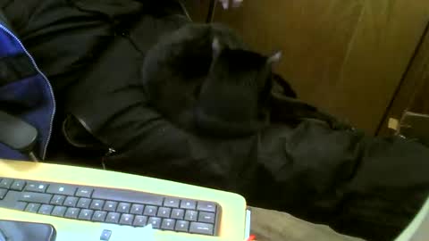 Snapshot of muller520 chatting on 12, 2, 2025 muller520 online show from 12, 2, 2025