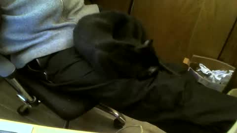 Snapshot of muller520 chatting on 19, 2, 2025 muller520 online show from 19, 2, 2025