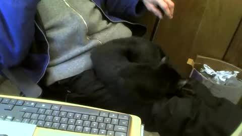 Snapshot of muller520 chatting on 21, 2, 2025 muller520 online show from 21, 2, 2025