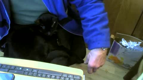 Snapshot of muller520 chatting on 22, 2, 2025 muller520 online show from 22, 2, 2025