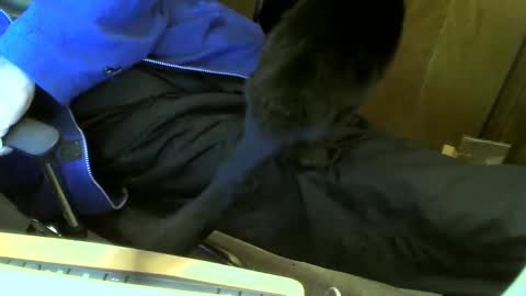 Snapshot of muller520 chatting on 23, 2, 2025 muller520 online show from 23, 2, 2025