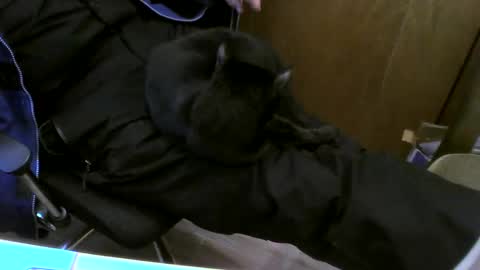 Snapshot of muller520 chatting on 26, 2, 2025 muller520 online show from 26, 2, 2025