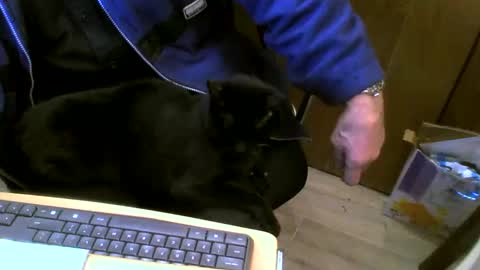 Snapshot of muller520 chatting on 27, 2, 2025 muller520 online show from 27, 2, 2025