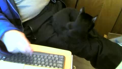 Snapshot of muller520 chatting on 2, 3, 2025 muller520 online show from 2, 3, 2025