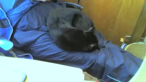 Snapshot of muller520 chatting on 15, 9, 2025 muller520 online show from 15, 9, 2025