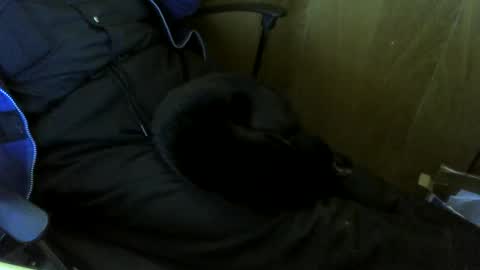 Snapshot of muller520 chatting on 29, 10, 2025 muller520 online show from 29, 10, 2025