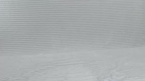 murrrmuah online show from 8, 10, 2025