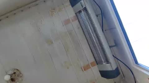 Snapshot of muscularsexybady chatting on 22, 9, 2025 handsome sexy muscular man online show from 22, 9, 2025