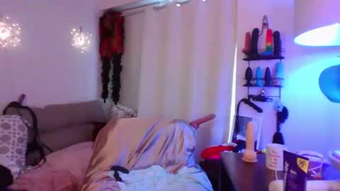 Mx Charlotte online show from 24, 6, 2026