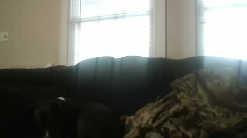 my_banana_creampies online show from 19, 2, 2026