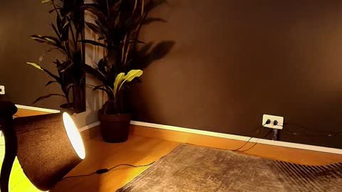 Maite online show from 1, 2, 2025