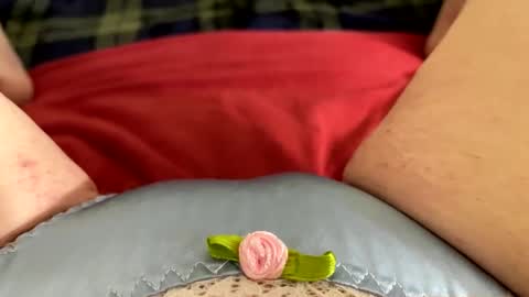 Kitty online show from 27, 11, 2025