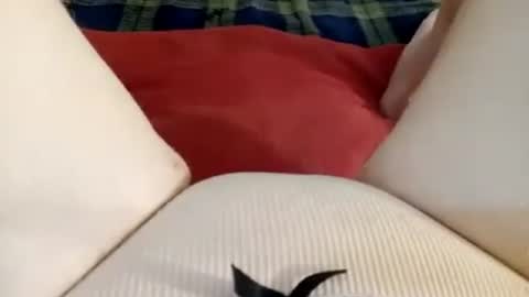 Kitty online show from 27, 6, 2026