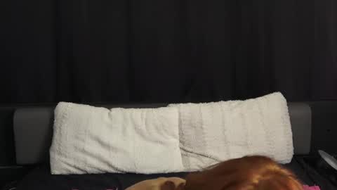 Snapshot of mymiesexy chatting on 11, 9, 2025 mymiesexy online show from 11, 9, 2025