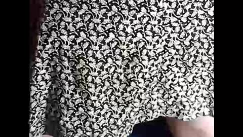 Sissy Mike online show from 18, 2, 2025